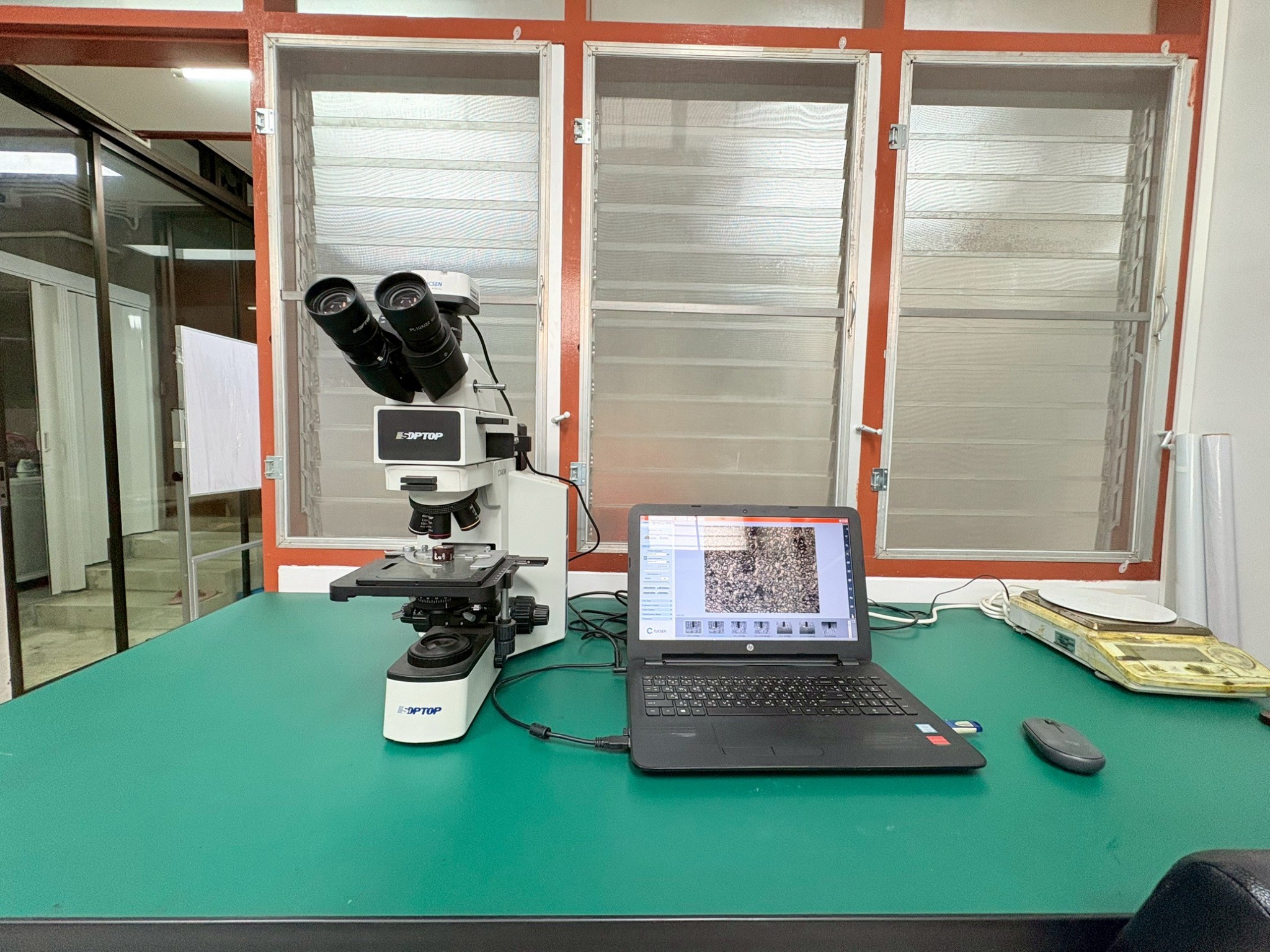 กล้องจุลทรรศน์แบบใช้แสง (Optical Microscope)